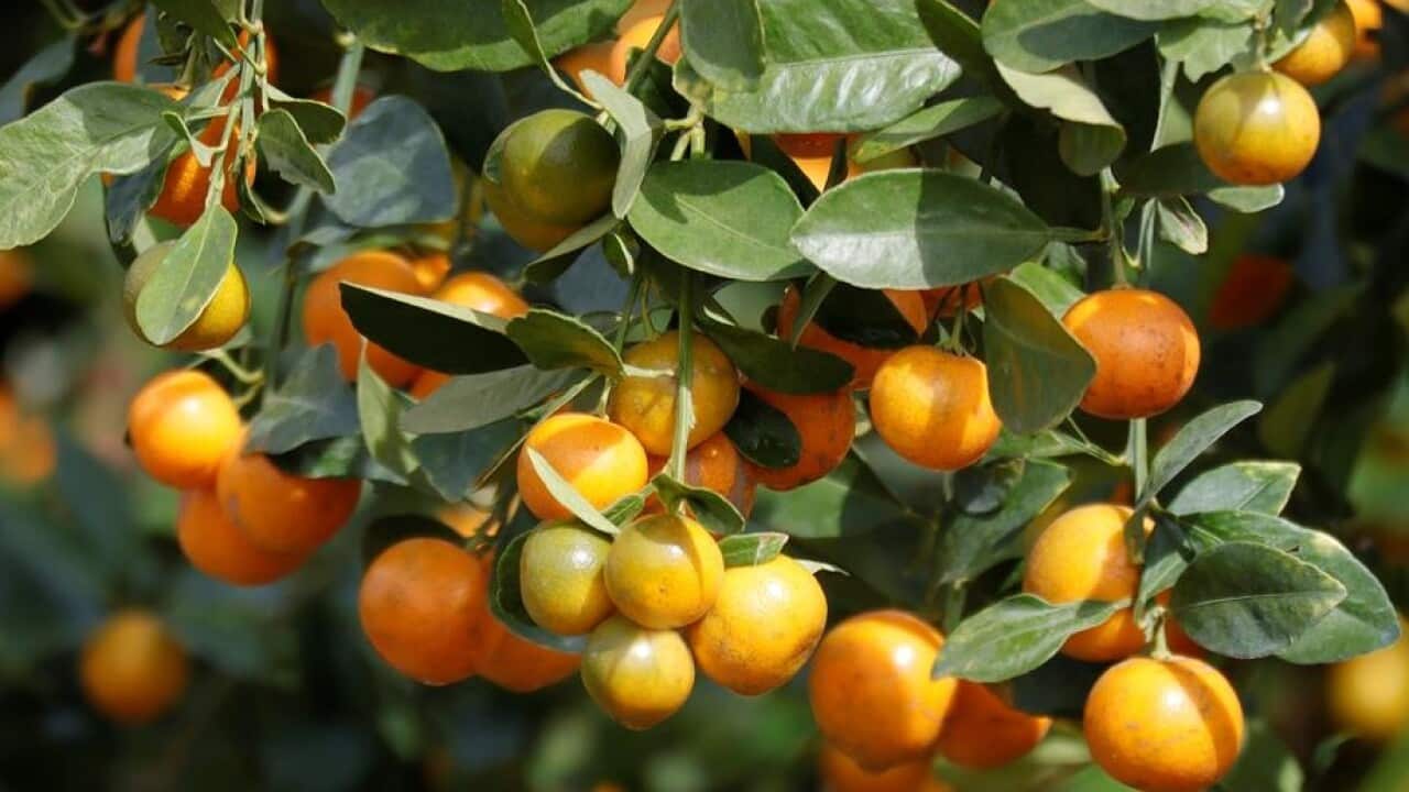 Image for read more article ''