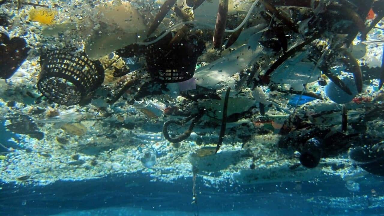 OCEAN PLASTICS RESEARCH
