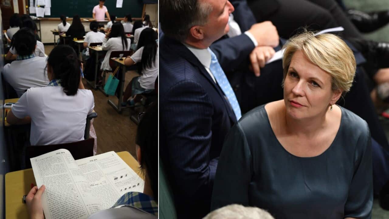 Deputy Leader of the Opposition Tanya Plibersek during Question Time in the House of Representatives at Parliament House in Canberra, Thursday, October 25, 2018.