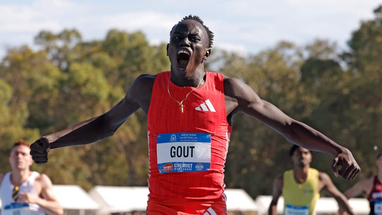 Gout Gout, wearing a red singlet, running. He is wearing a blue tag that says “GOUT“ on it.