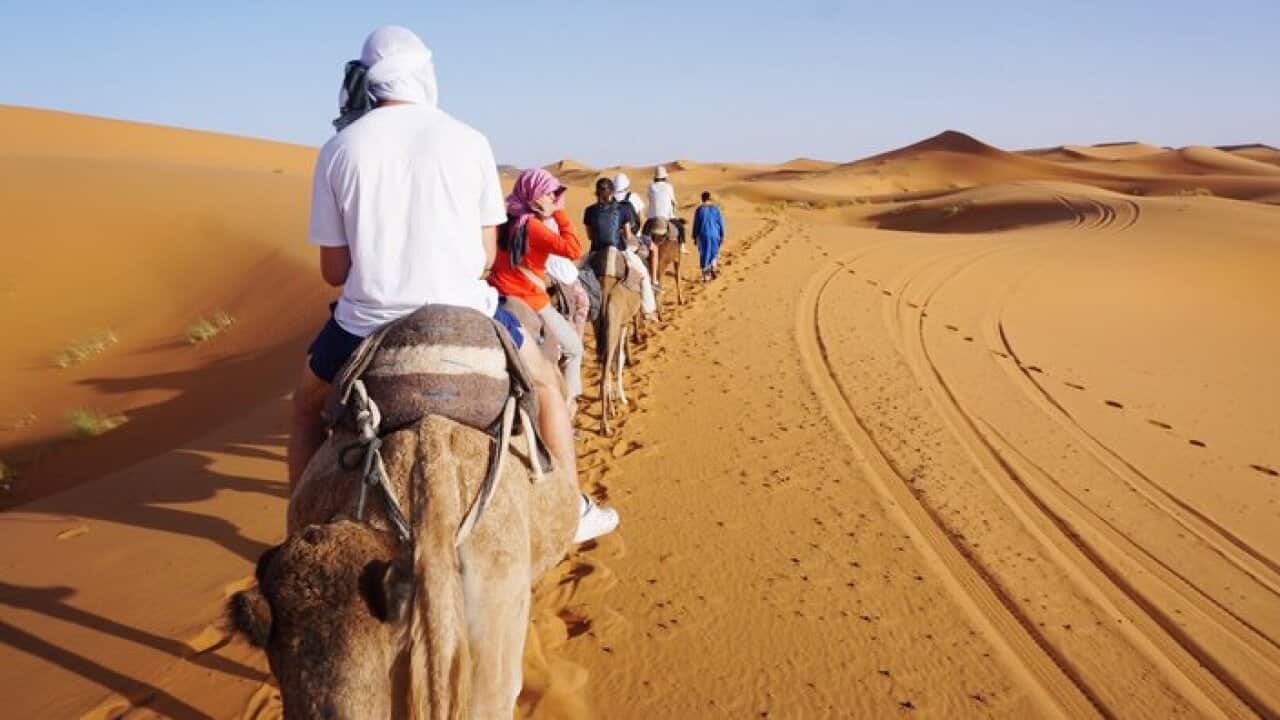 Rear View Of Tourists Riding On Camels In Sahara Desert