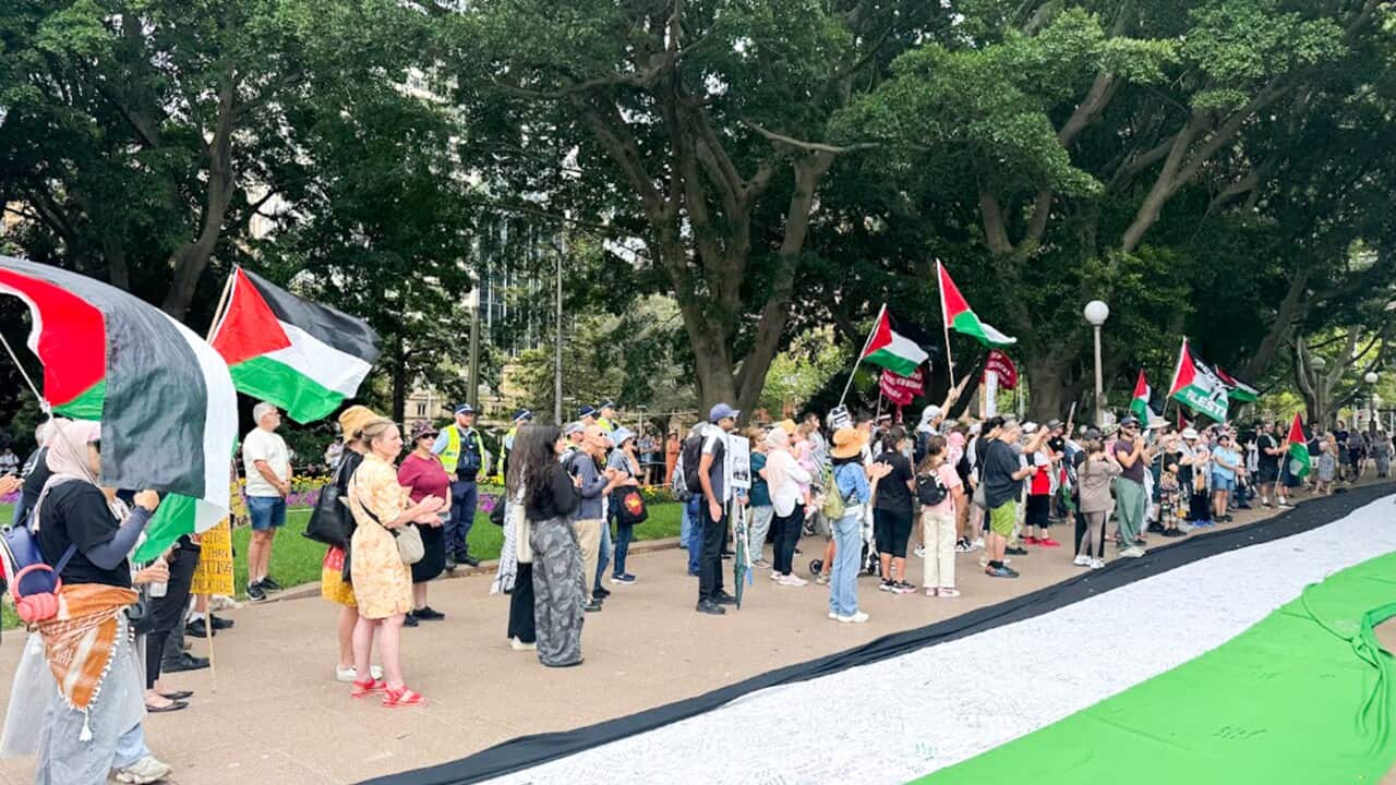 A crowd of protesters gathers in a park lined with large trees, holding Palestinian flags and standing behind a massive Palestinian flag banner on the ground.