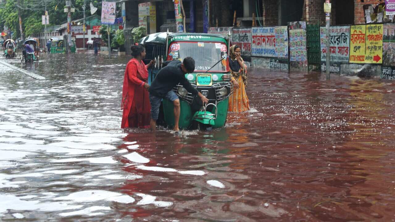 River Of Blood From Sacrificed Animals - Dhaka
