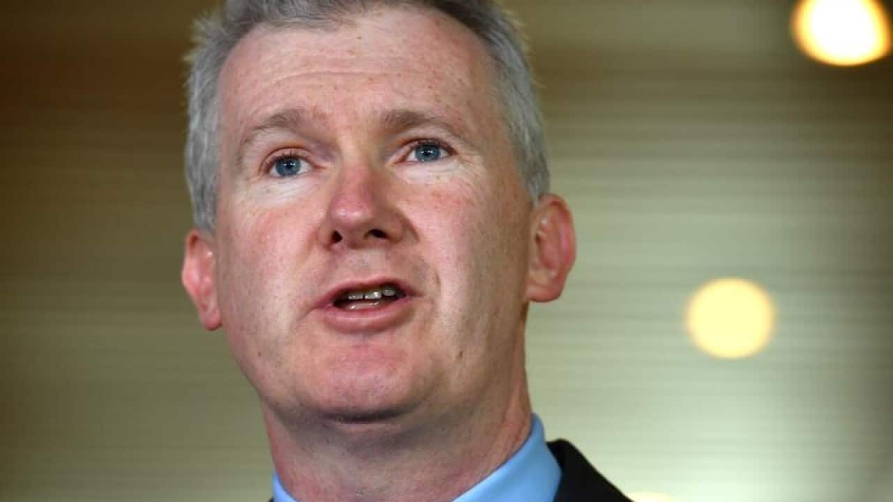 Tony Burke at a press conference at Parliament House.