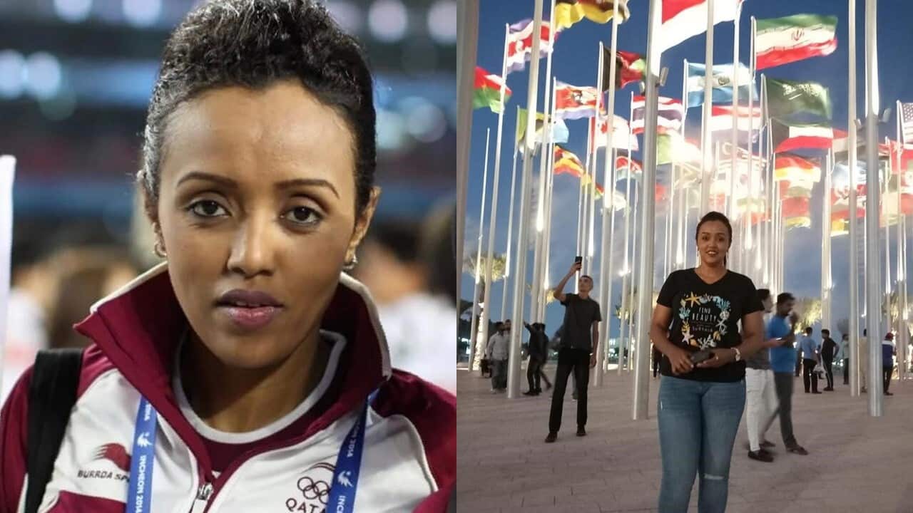 SBS Amharic sbs-amharic