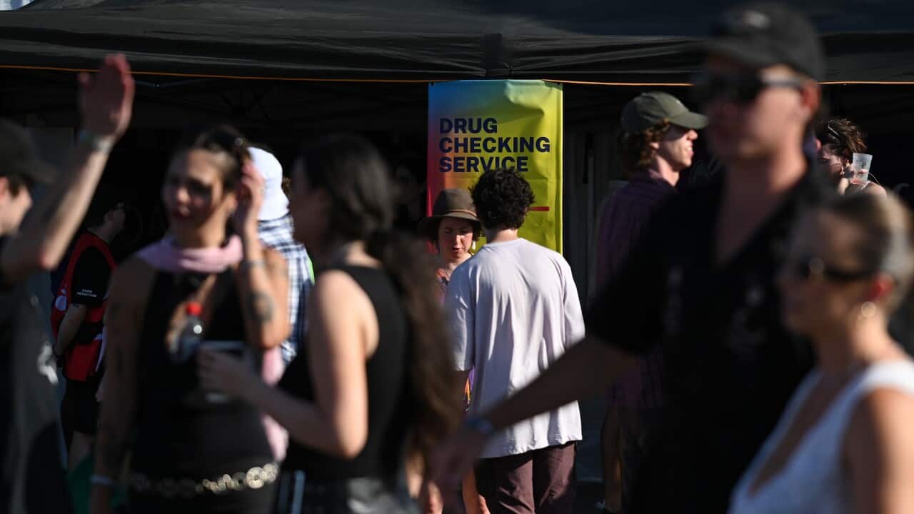 NSW PILL TESTING YOURS & OWLS FESTIVAL