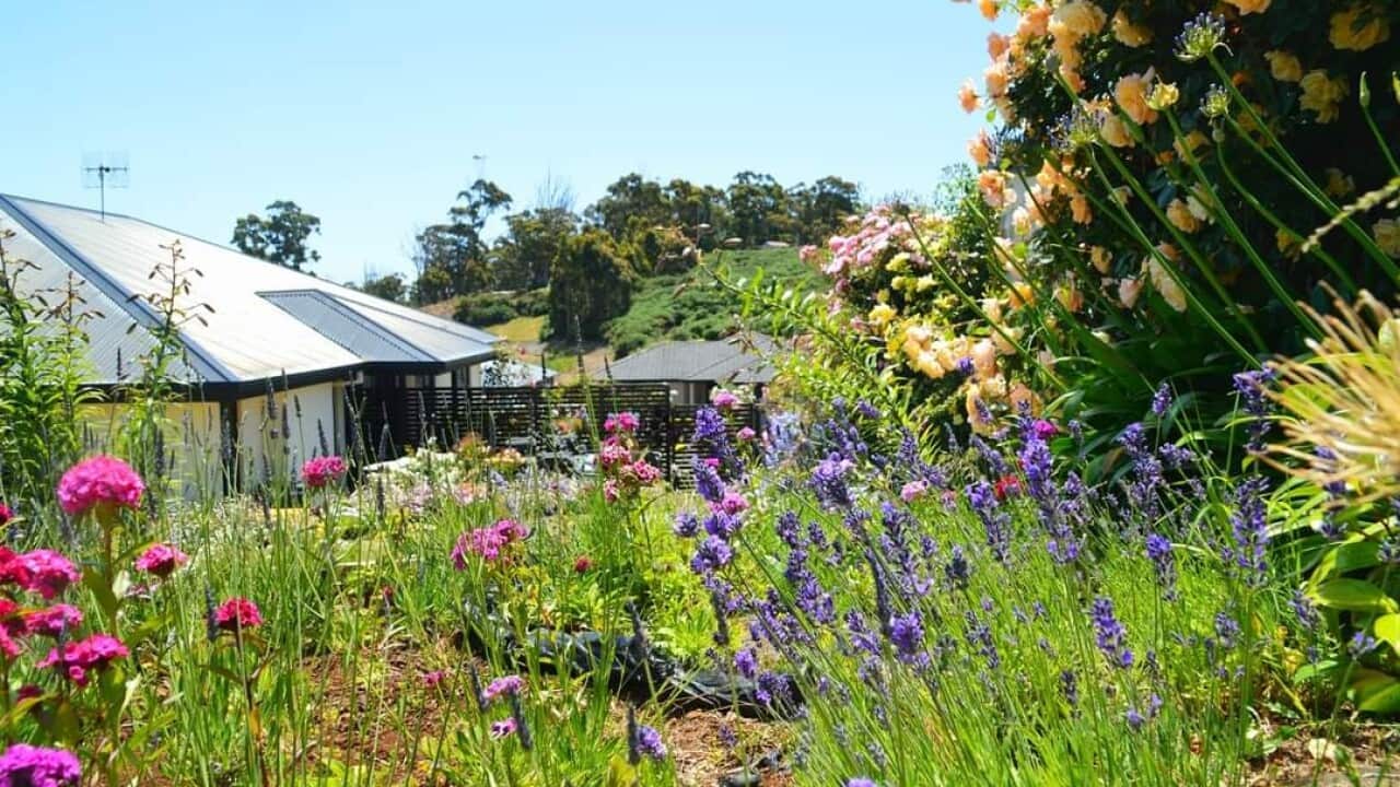 Image for read more article 'Đọc thêm'