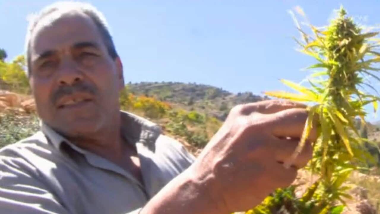 yaara_hash_farmers2.jpg
