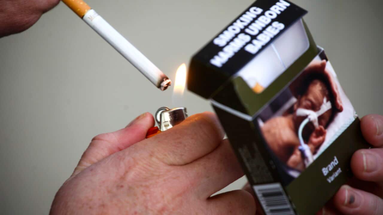 A cigarette pack with plain packaging in Canberra