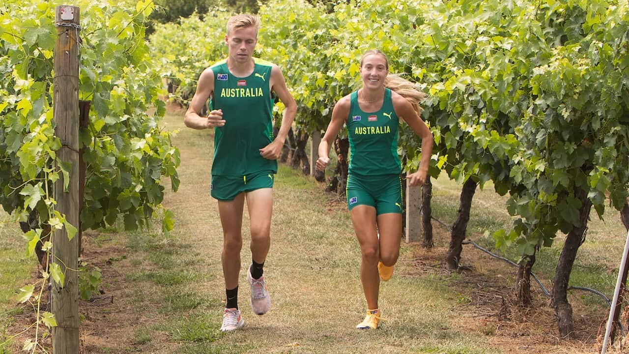 Image for read more article 'READ MORE'