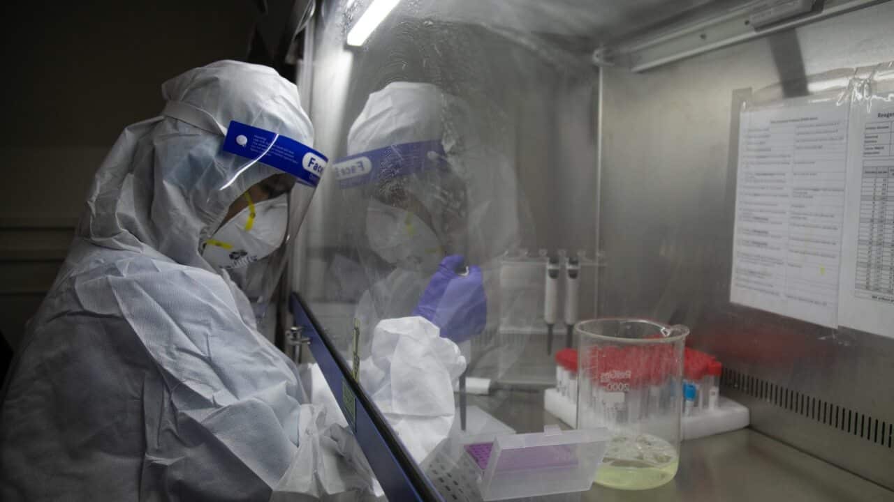A laboratory technologist processes COVID-19 samples at the Bidh Lab in Nepal where oversea coronavirus variants have been recorded.