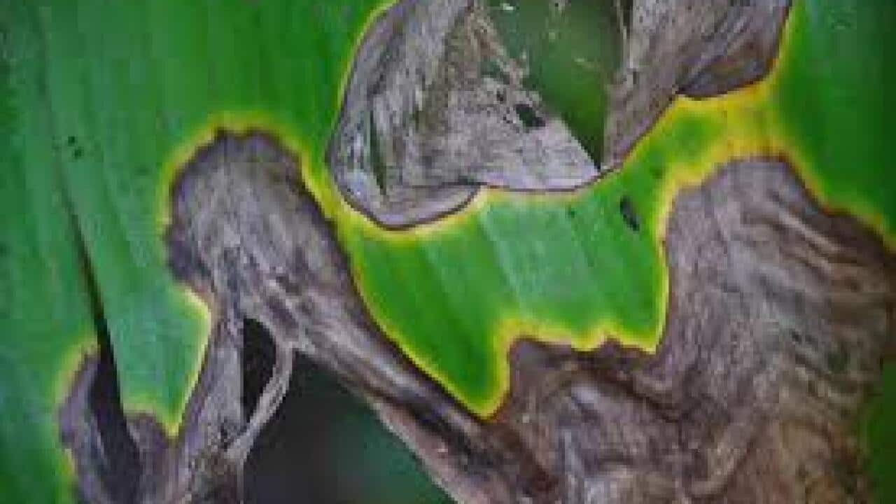 Image for read more article 'READ MORE'