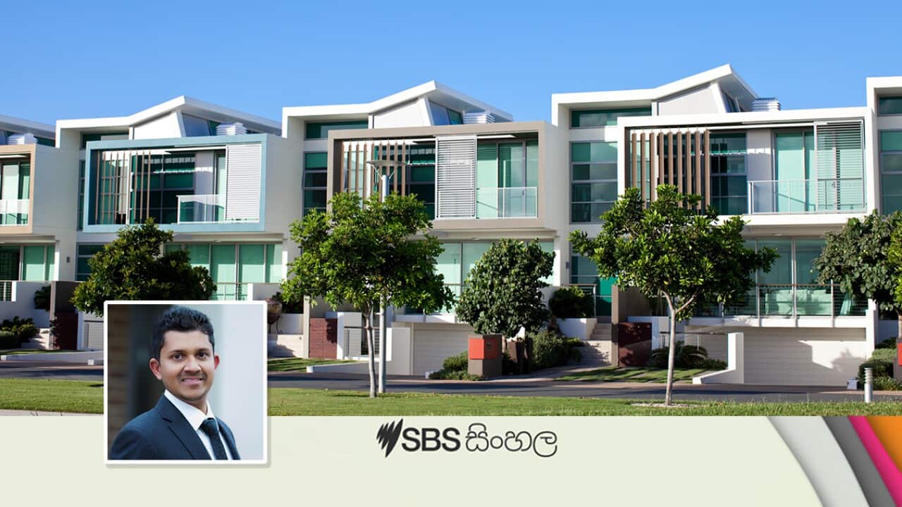 Navin De Silva_ForeignInvestments.jpg