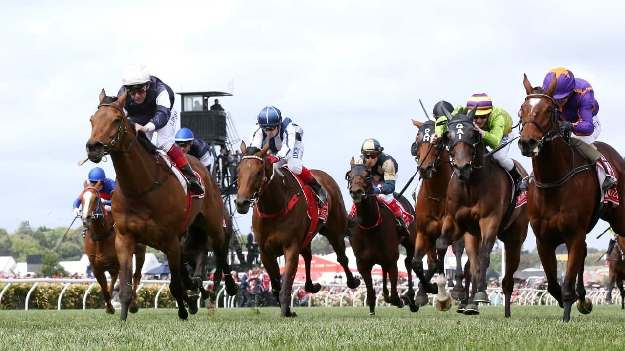The Emirates Melbourne Cup at Flemington Racecourse in Melbourne, Tuesday, November 7, 2017.