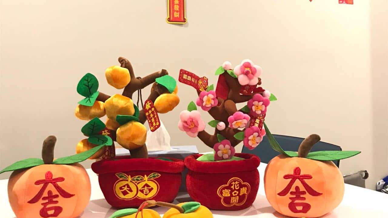 Image for read more article ''