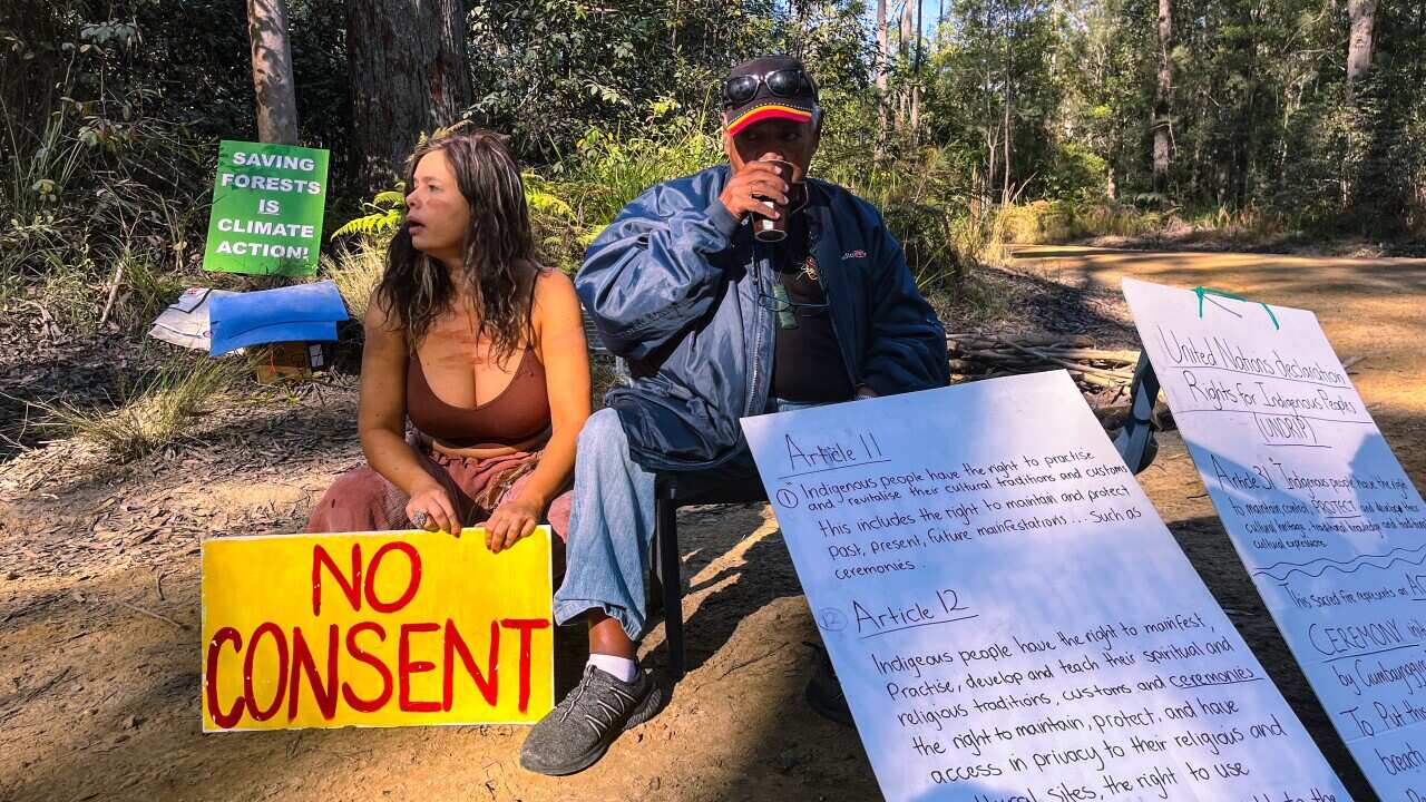 a man and woman sit on the ground in the forest with placards stating Indigenous UN human rights