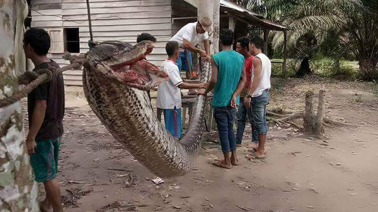 Image for read more article 'READ MORE'