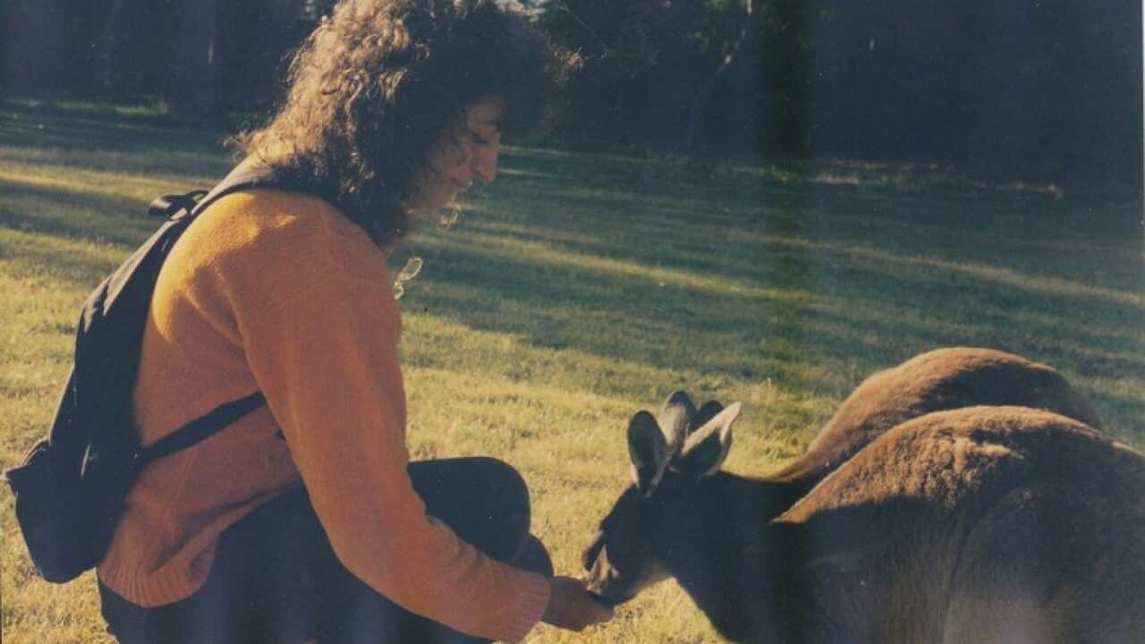 Image for read more article ''