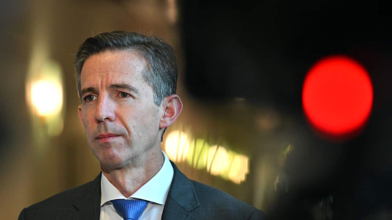 SIMON BIRMINGHAM PRESSER