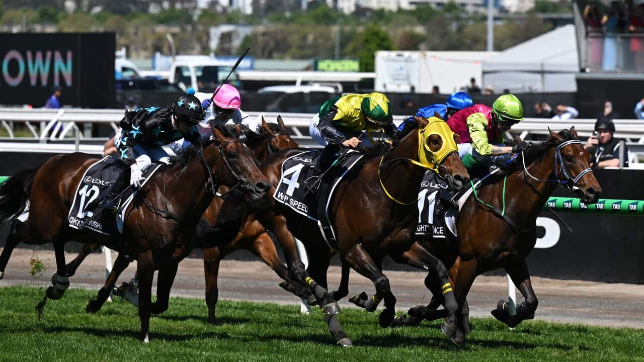 RACING 2024 MELBOURNE CUP