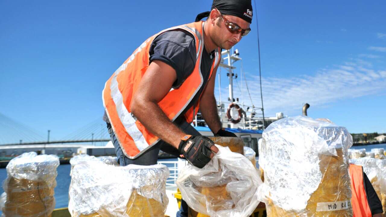 A technician packs fireworks in Sydney