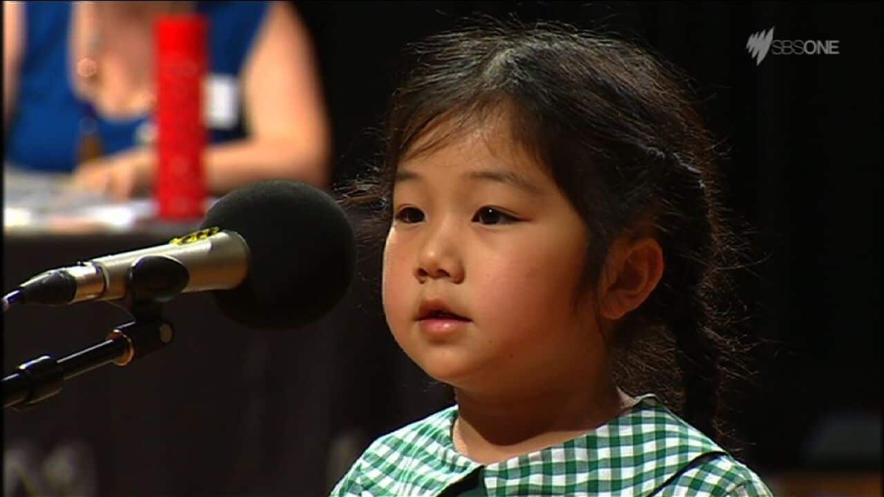 spellingbee02world_news_08.jpg