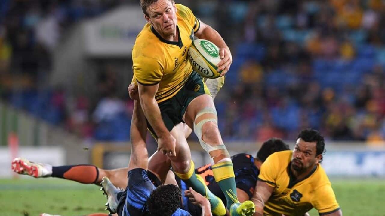 Dane Haylett-Petty of the Wallabies.