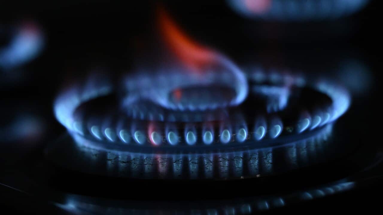 A kitchen gas stove burner