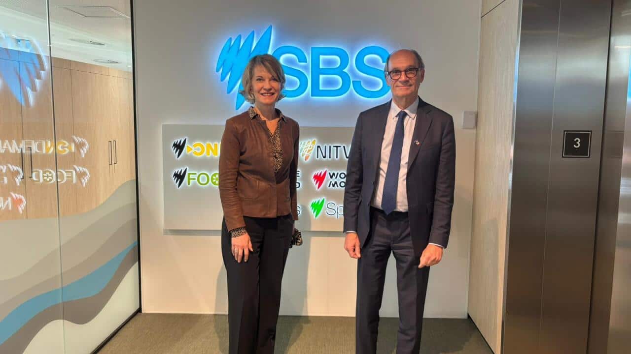 SBS French Woerth and Genetet v2.jpeg