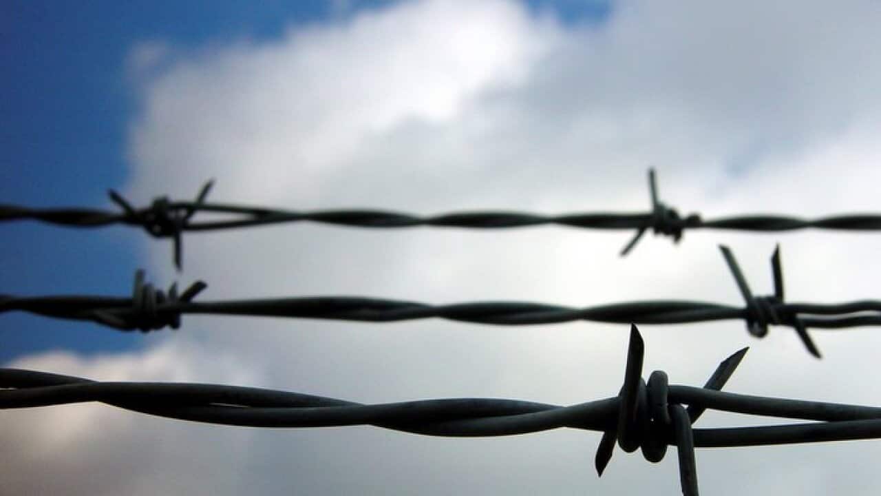 barbed wire