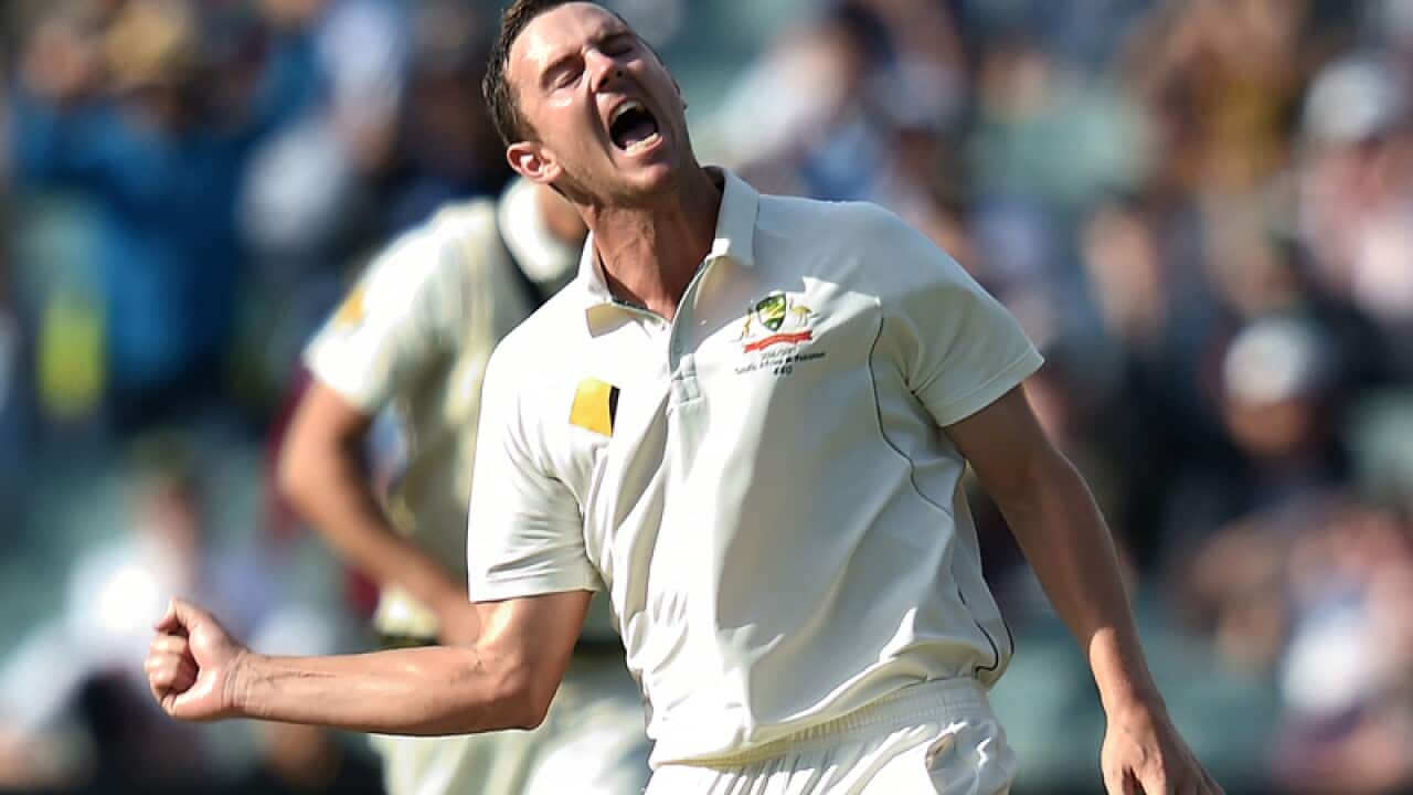 Australian bowler Josh Hazlewood