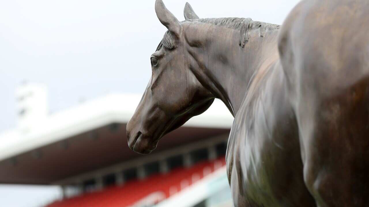 MELBOURNE CUP EVE MEDIA CALL
