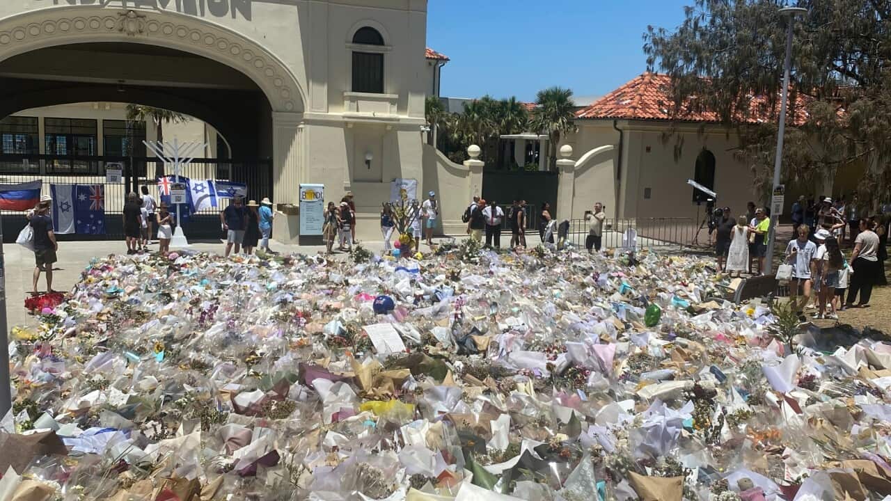 Floral tributes at Bondi Beach. Arrangements are being made for a permanent memorial at Bondi as well as the National Day of Mourning in the new year_SBS_Catriona Stirrat.jpg