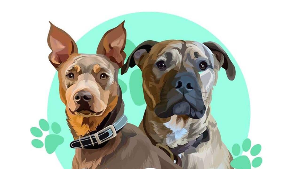 the complete canine