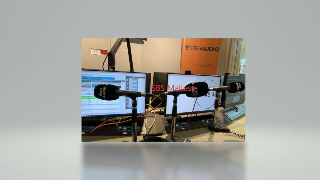 SBS Maltese Audio 1.jpg