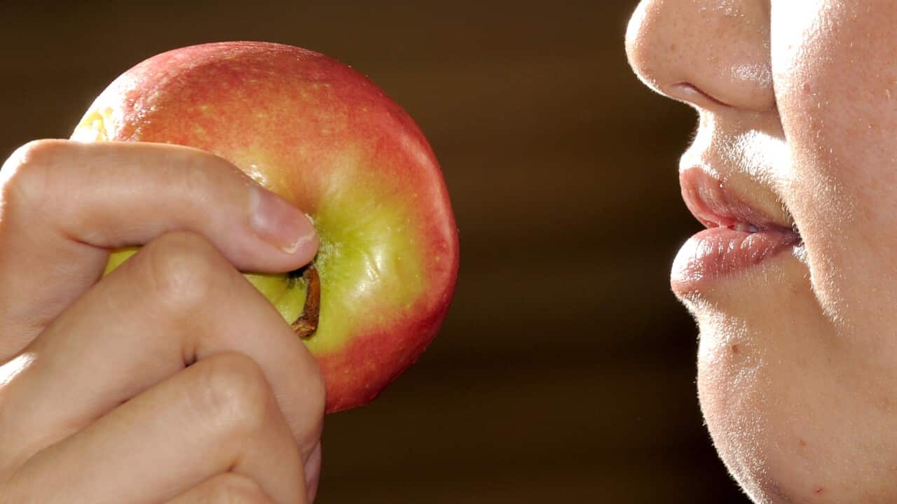 Woman holding an apple in Canberra, Friday, Nov. 6,  2009. Apples are rich in pectin which is a soluble type of fibre. (AAP Image/Alan Porritt)  NO ARCHIVING