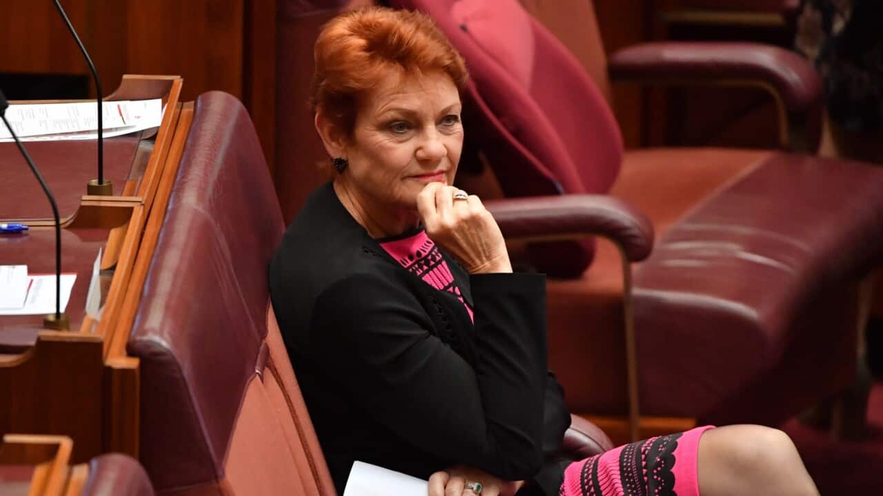 One Nation leader Senator Pauline Hanson in the Senate chamber at Parliament House