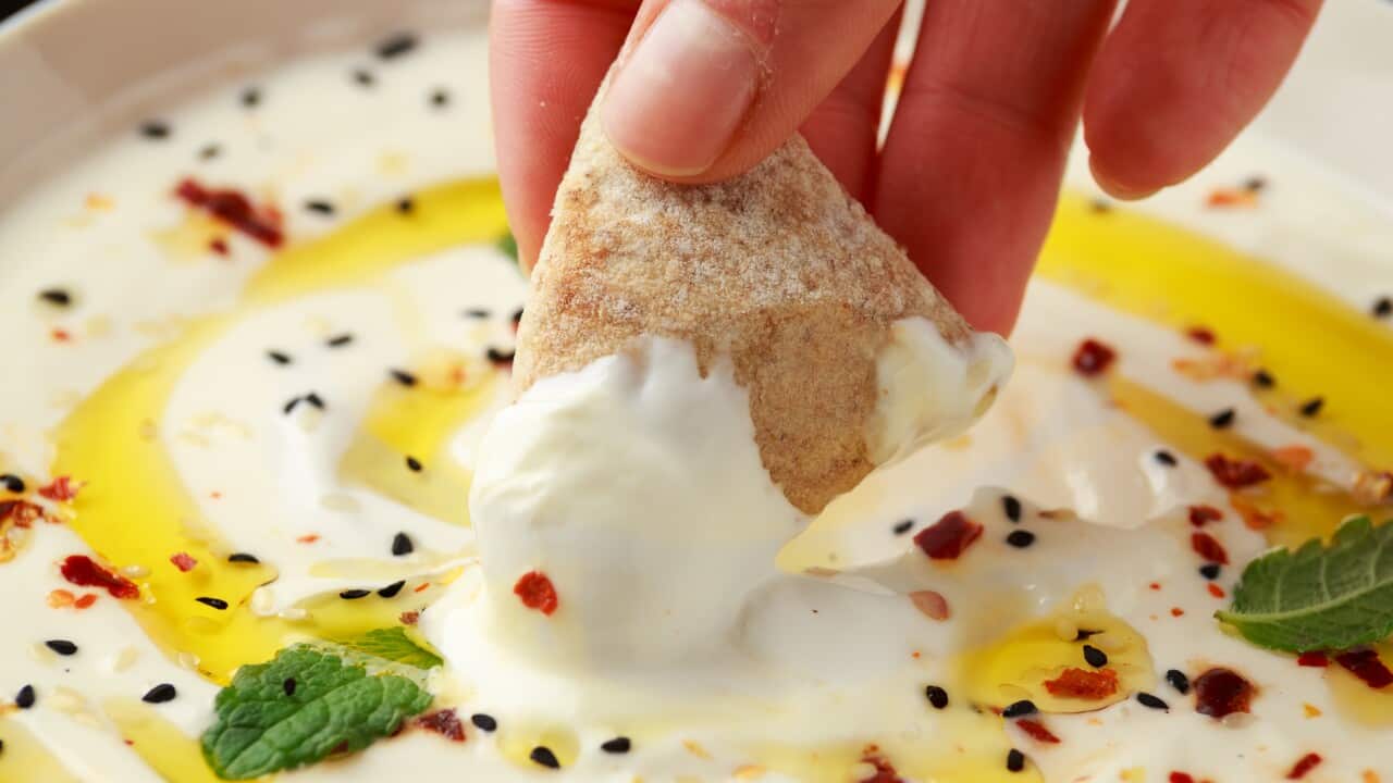 A case for many serves of labneh SBS Food