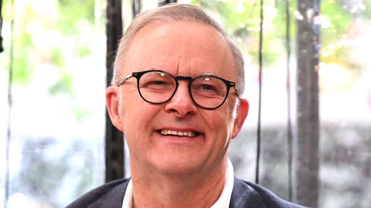 ELECTION25 ANTHONY ALBANESE CAMPAIGN