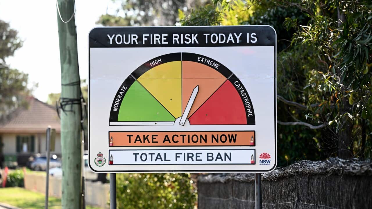 NSW is bracing for its worst risk of bushfires in years amid hot and windy conditions NSW is bracing for its worst risk of bushfires in years amid hot and windy conditions