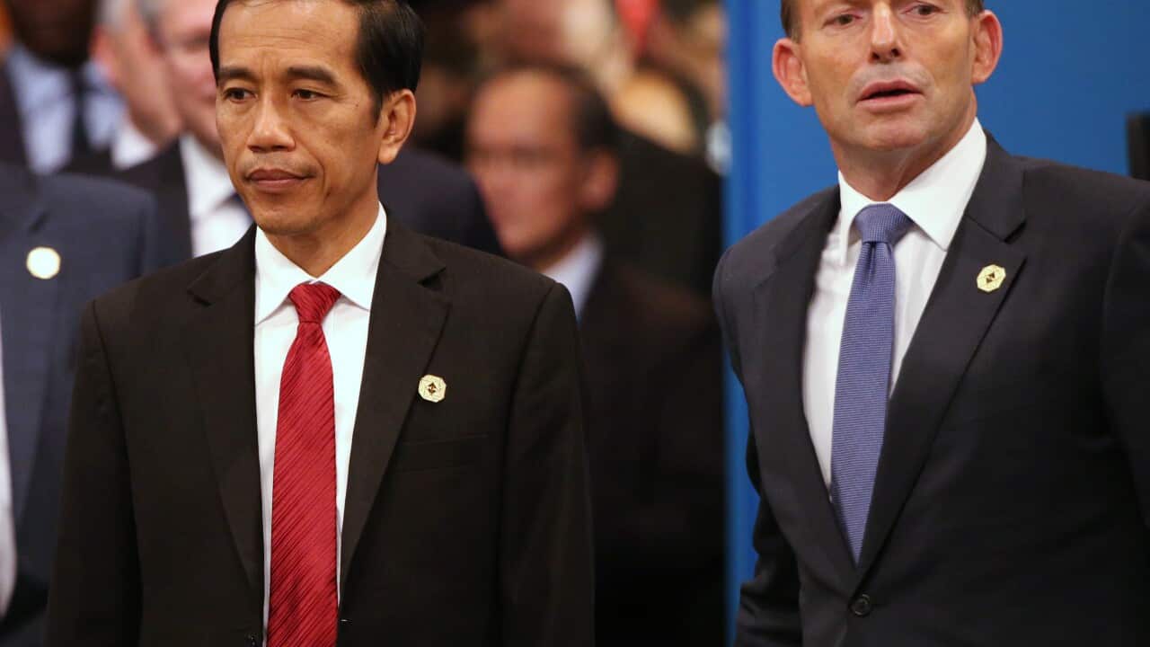 Widodo says executions will go ahead
