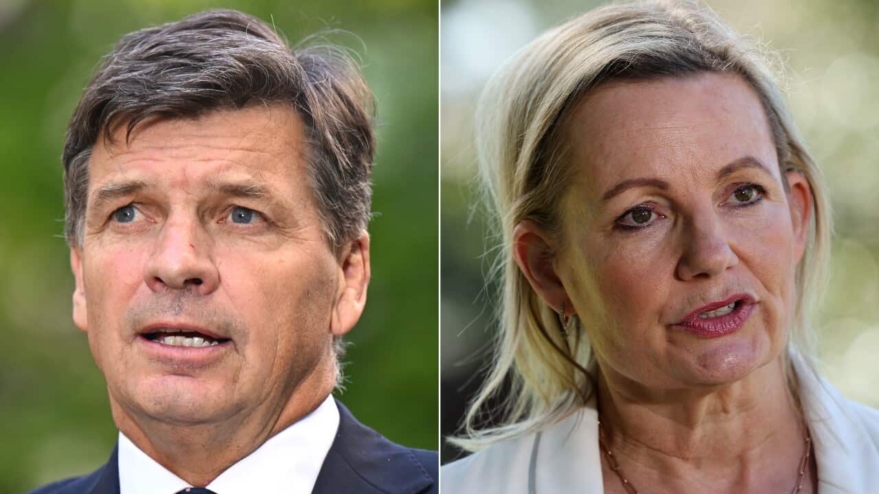 Side-by-side portraits of a man in a suit and a woman in a white blazer, both speaking outdoors.