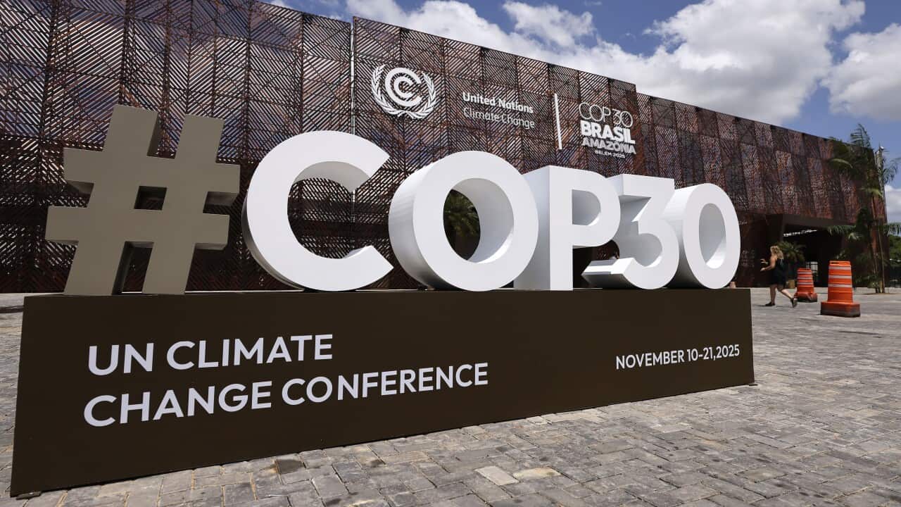 COP30 Brazil Amazonia 2025 - Previews