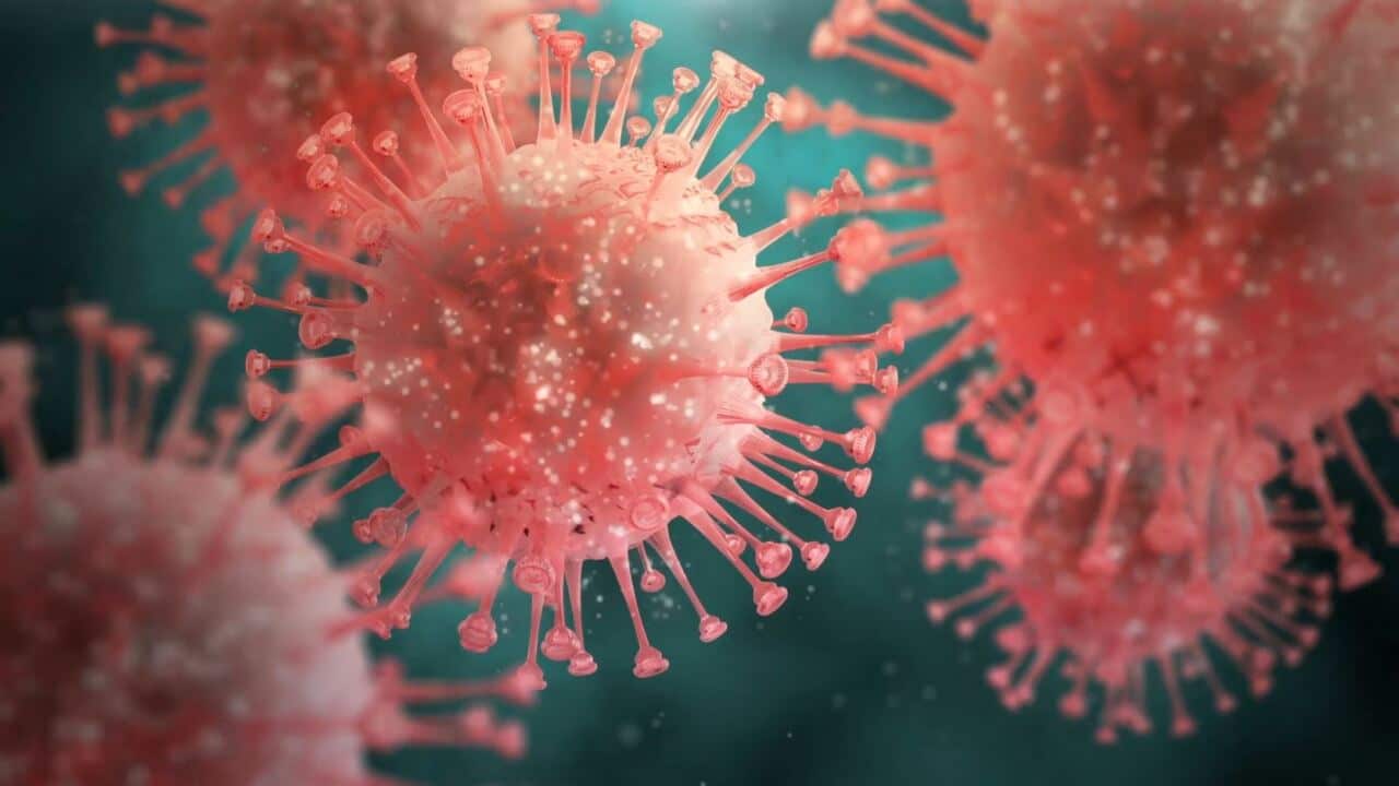 A simulation of the HIV virus