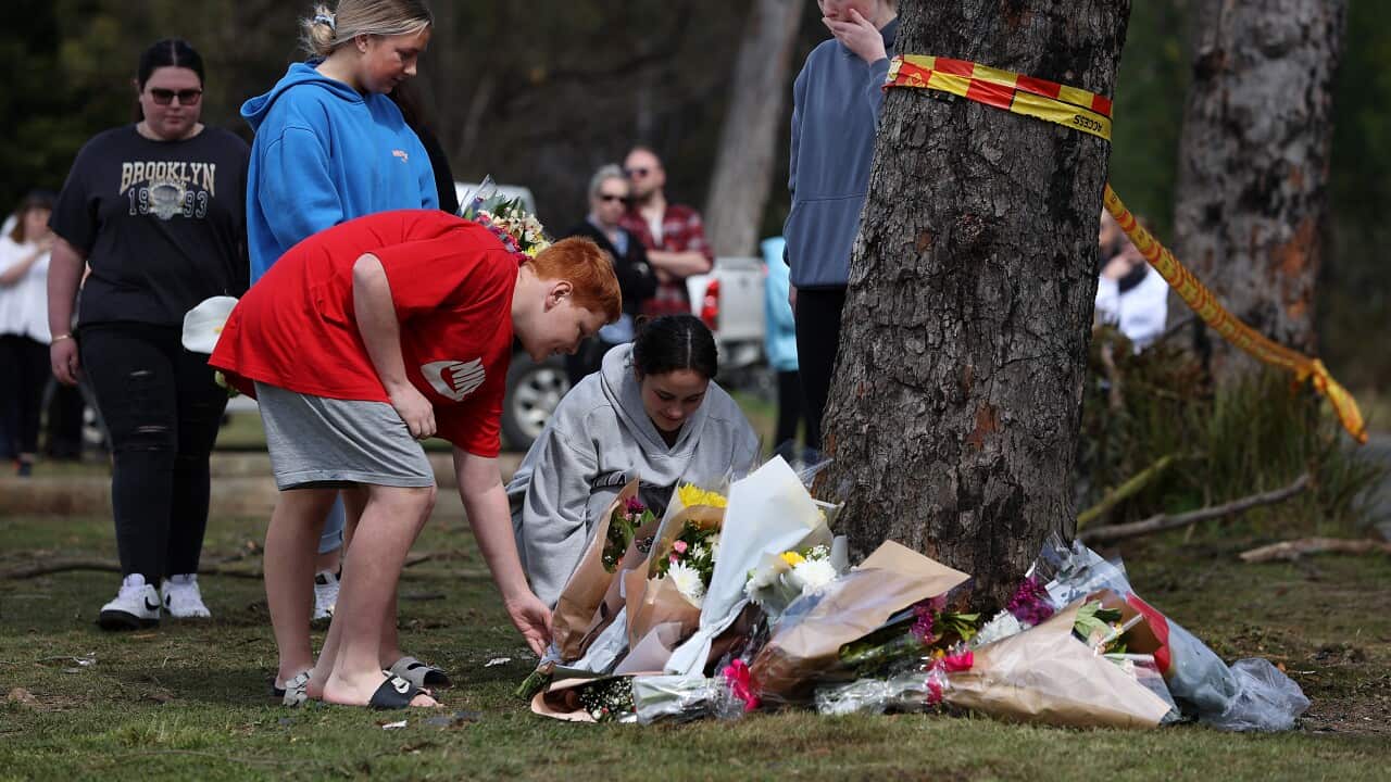 Image for read more article '更多內容'