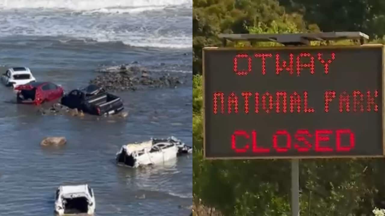 Copy of Untitled.png