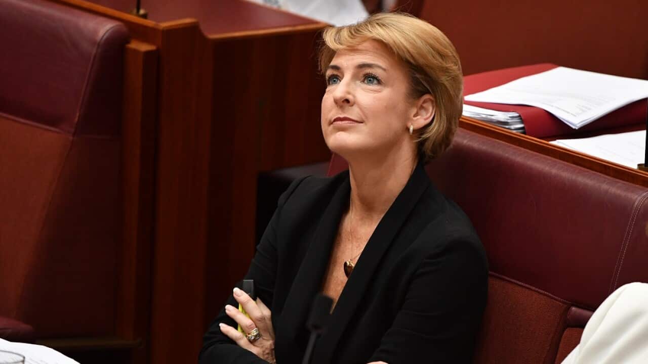 Minister for Small Business Michaelia Cash during Question Time in the Senate chamber at Parliament House in Canberra, Thursday, February 14, 2019. (AAP Image/Mick Tsikas) NO ARCHIVING