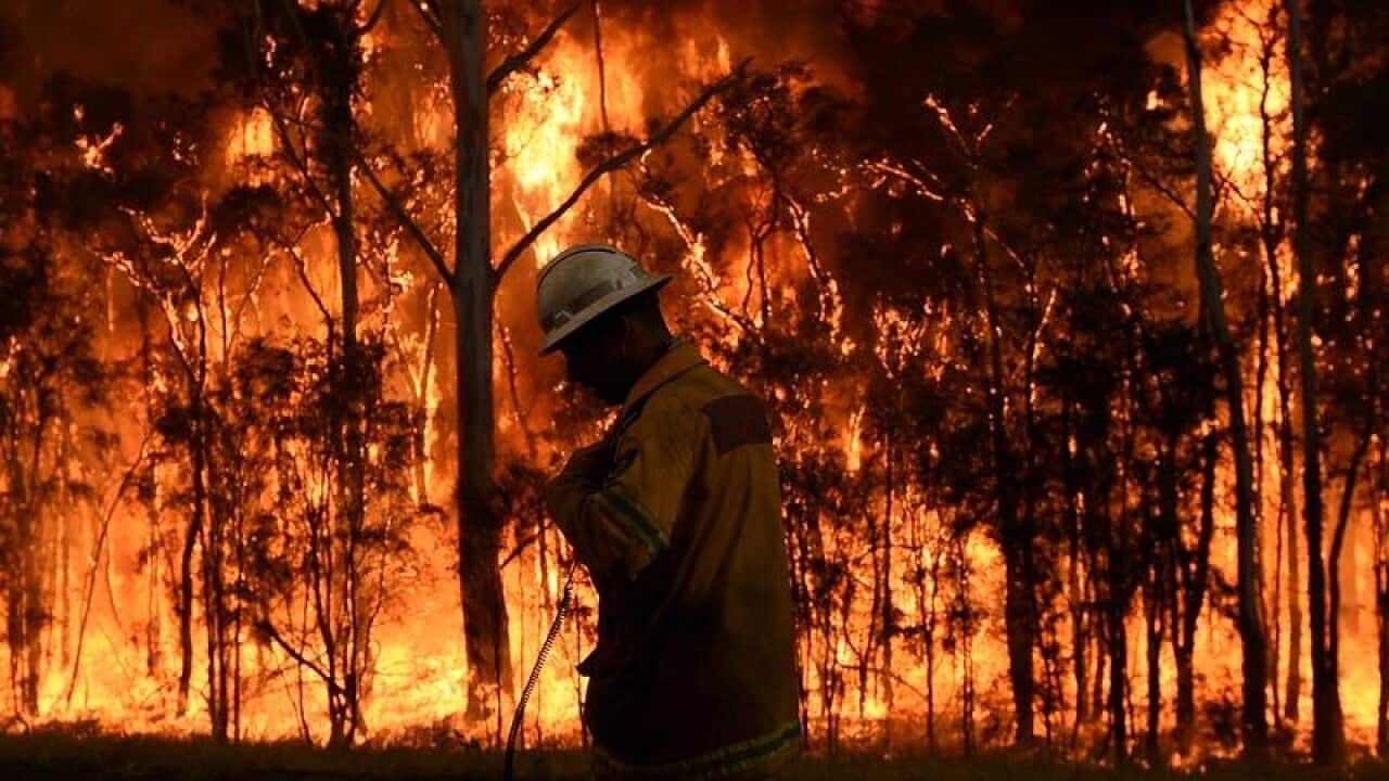 NSW Rural Fire Service firefighters fight a fire