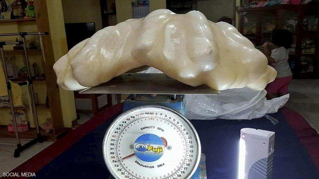 4.1kg gold nugget found in Victoria