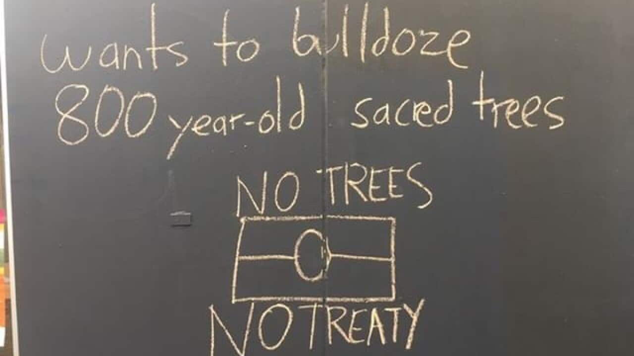 Trees